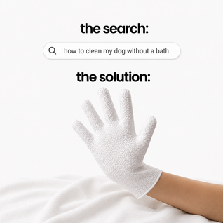 No Rinse Cleaning Glove for Dogs & Cats