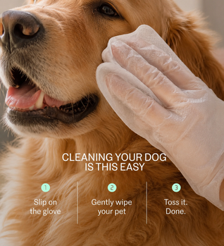 No Rinse Cleaning Glove for Dogs & Cats