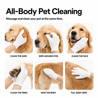No Rinse Cleaning Glove for Dogs & Cats